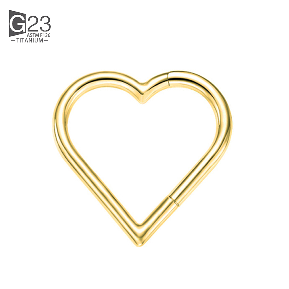 ASTM F-136 anneau de nez en titane Daith coeur boucle d'oreille cerceau Cartilage Tragus D forme Helix anneaux articulé Segment cerceau avec CZ clair