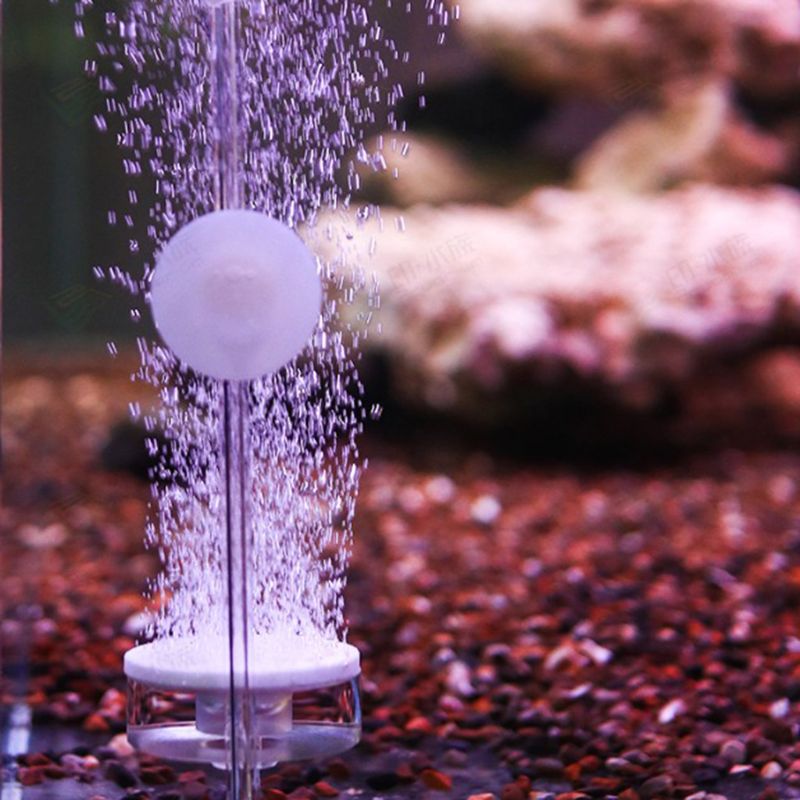 Aquarium Co2 Bubble Diffuser Air Bubble Disk Atomizer Arcylic Tube with Suction