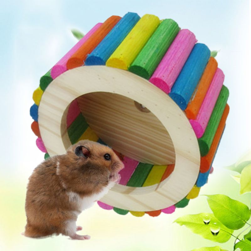 Rueda para hámster rotador silencioso de madera, rueda para masticar, juguete Natural para jerbos, Chinchillas, conejillos de indias, ardilla
