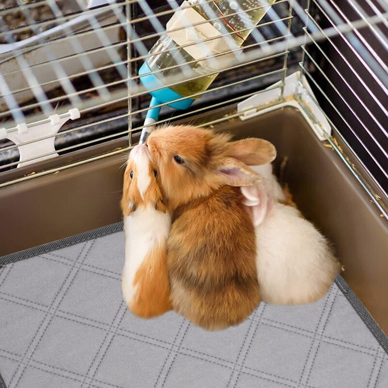 Hamsterbo-underlägg blöjunderlägg tvättbart husdjursskydd mot smuts för marsvin burunderlägg litet djurmarsvin skötunderlägg tillbehör för husdjur