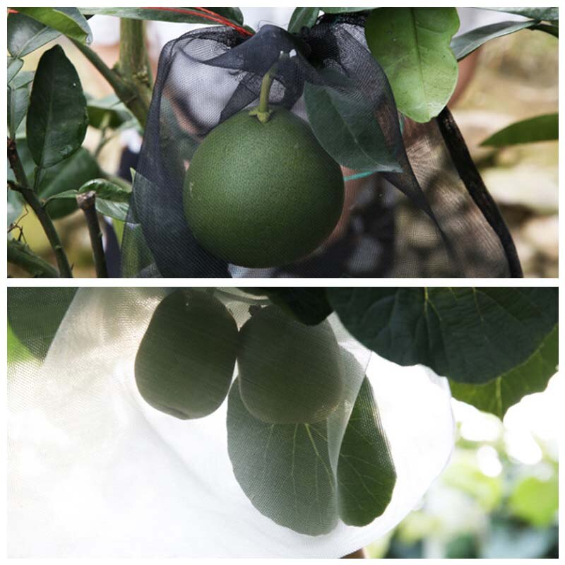 Sac de culture Anti-oiseau plante sac de Protection cordon Nylon maille lutte antiparasitaire agricole