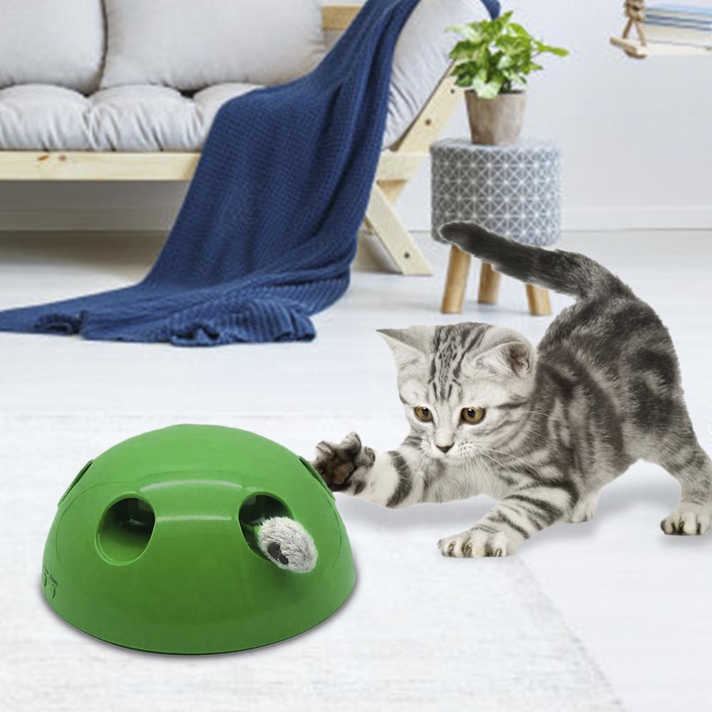 NPLAY Cat Toy Funny Carnival Game For Kitty Pet Includes Interchangeable Mouse &amp; Feather Pet Supplies