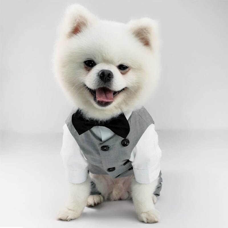 Ubrania ślubne dla zwierząt formalne ubranko dla psa kurtka dla psa ślub kostium imprezowy wysokiej jakości ubrania dla małe psy odzież Ropa Perro