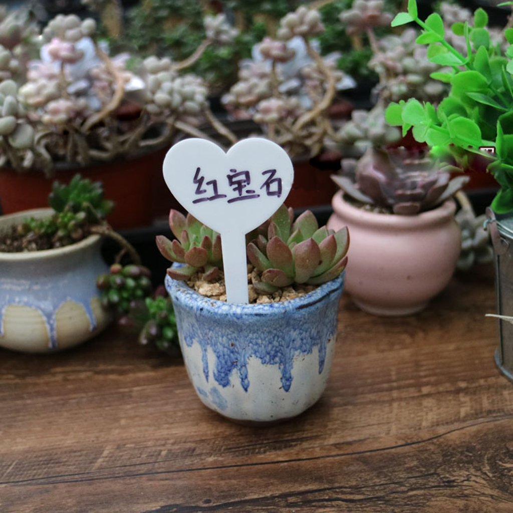 Etiquetas reutilizables para semillas de plantas y corazones, marcadores para macetas, etiqueta para Estaca de jardín, 50 unidades: White