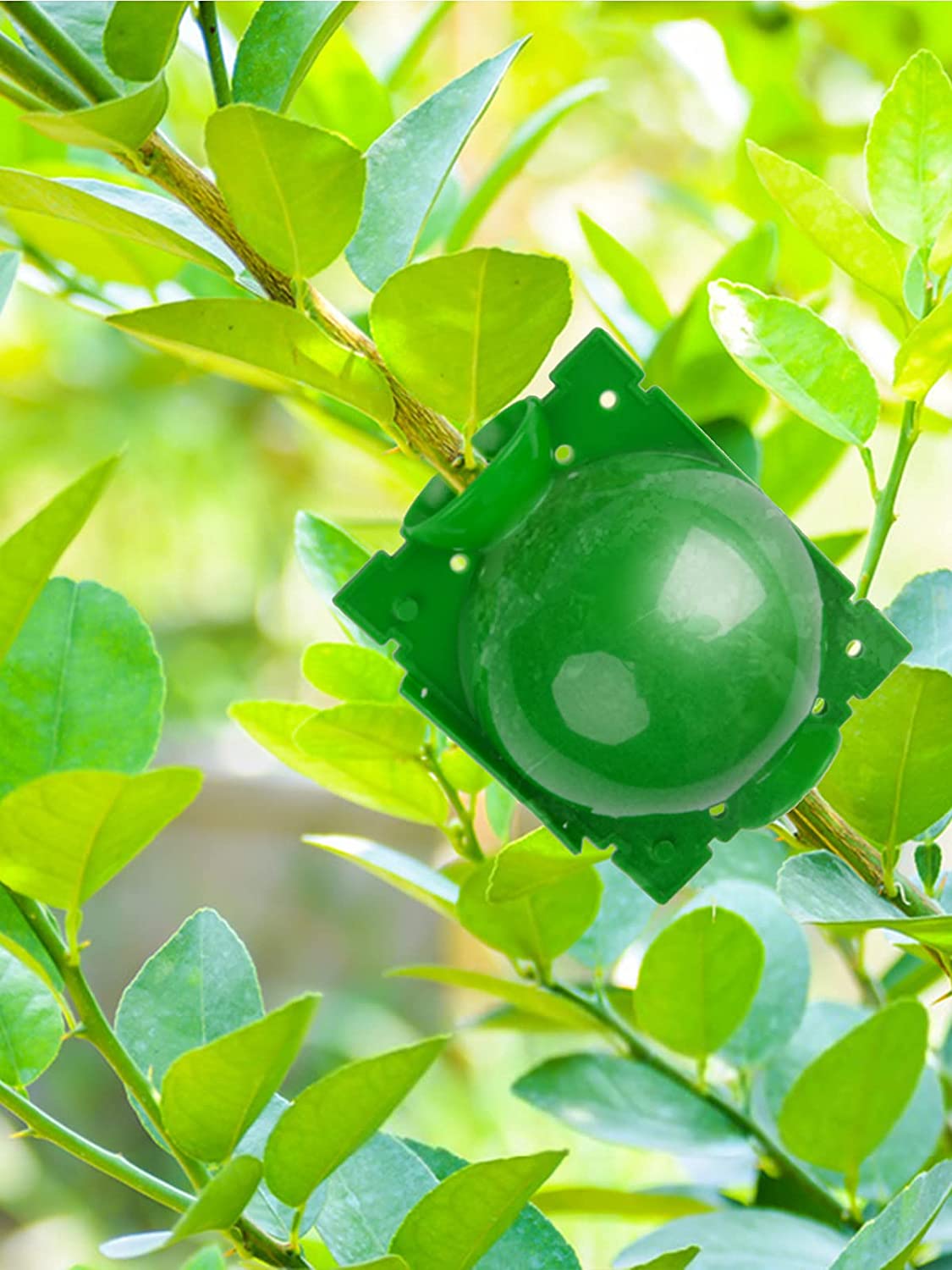 1/3/5/Pcs Plant Root Ball Green Root Graft Growing Box Breeding Case Plant Root Device Layer Pod High Pressure Balls for Garden