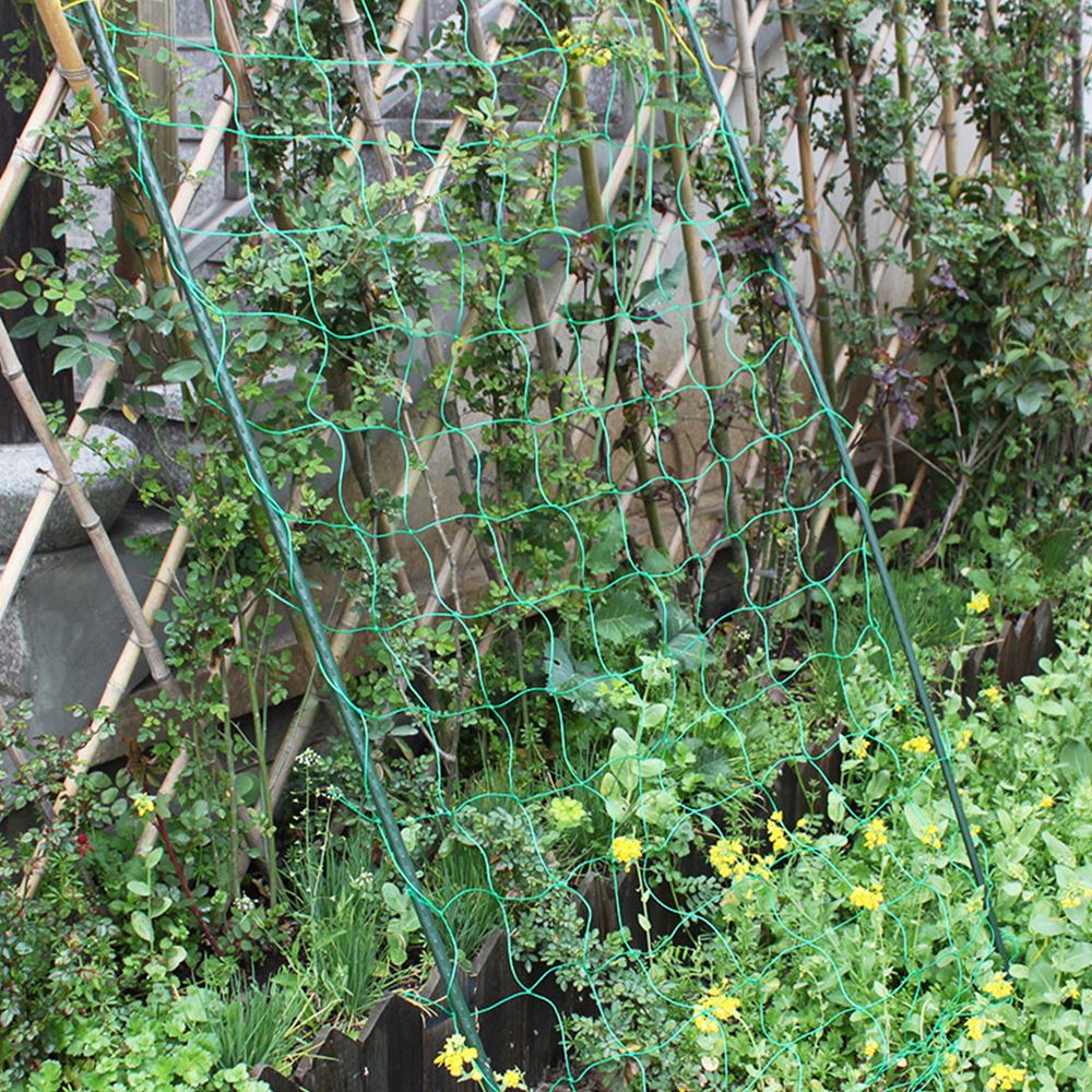 Gardening Network Plant Support Grow Net Holder Garden Fence Plants Climbing Nylon Net for Cucumber Morning Glory Petunia Flower