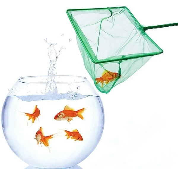 Lange Steel Vierkante Aquarium Visnet Schepnet Voor Vis Drijvende Voorwerpen Krabnet Hengel Droger Handnet