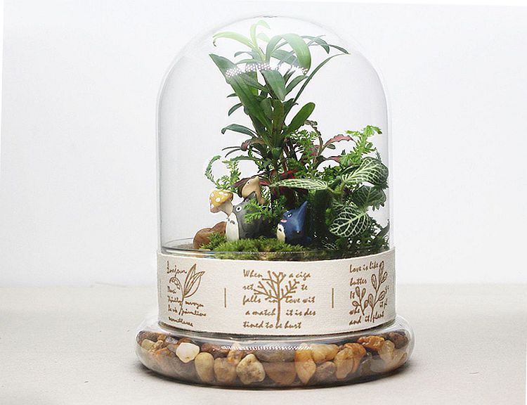 1 Juego de jarrón de cristal colgante para plantas carnosas terrario decoración del hogar botella hidropónica JY 1201
