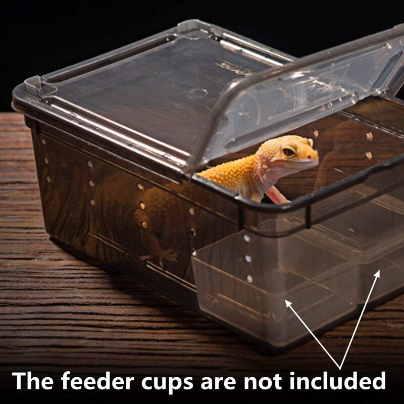 Caja de alimentación de serpiente pequeña para reptiles 10 Uds., tarántula de lagarto, jaula de hábitat, contenedor para incubar, Mini casas portátiles para mascotas
