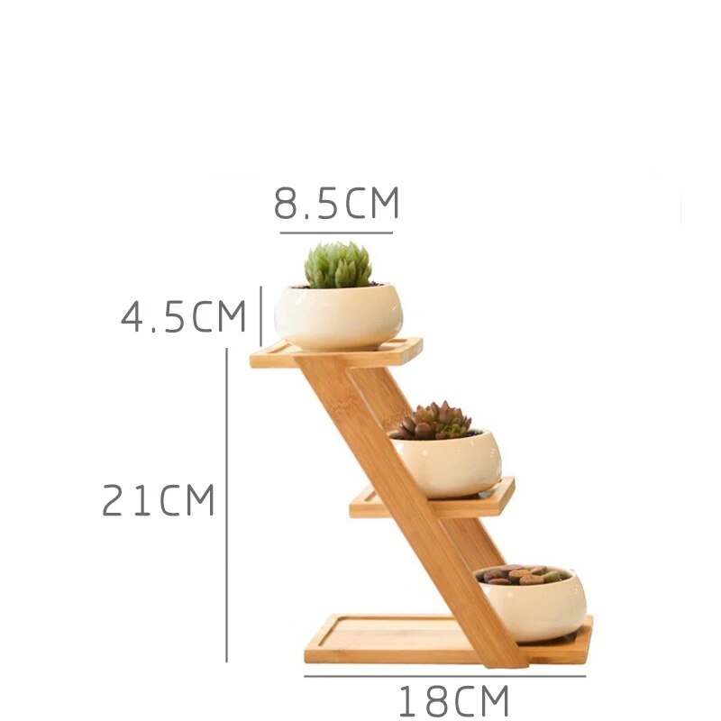 Hvid porcelæn sukkulenter potte grønne planter urtepotte med bambus bakke kontor bordplade planter kortfattet vase boligindretning: T