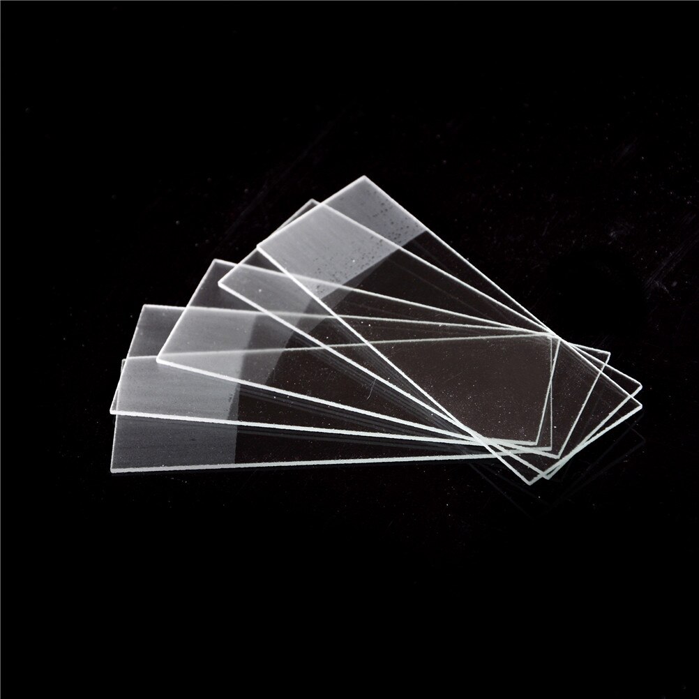 50pcs/lot Prepared Glass Microscope Slides Educational Specimen with Chinese English Label for School and Lab Biological