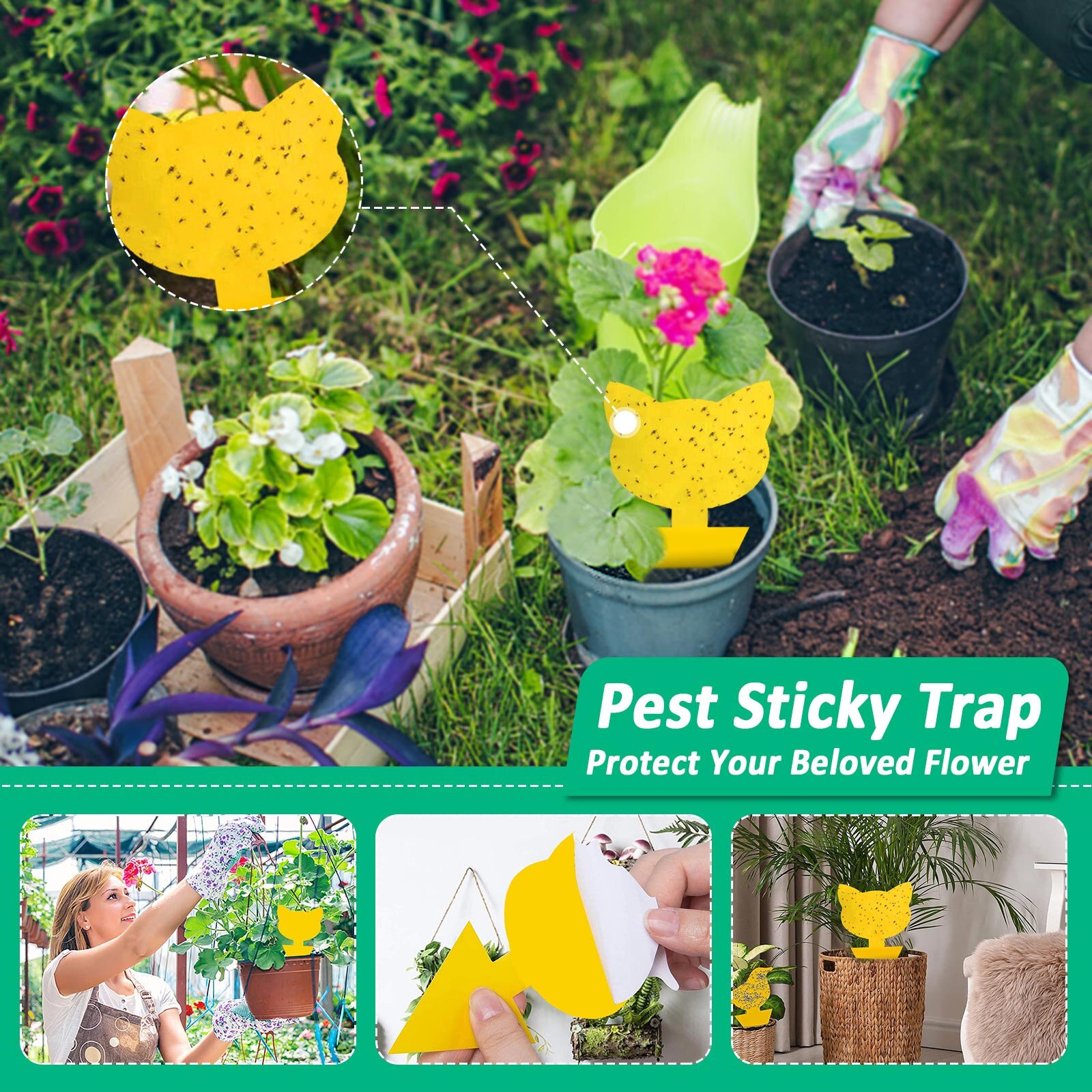 Insect catching board for outdoor garden plants Do... – Grandado