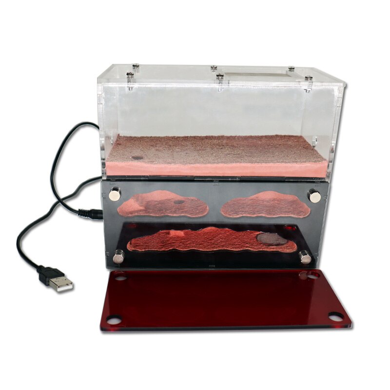 Ecological Ant Farm House with Independent Lights Control Ant Nest Concrete Insect Hotel Pet Anthill Workshop 3 Lights Ant House: Default Title