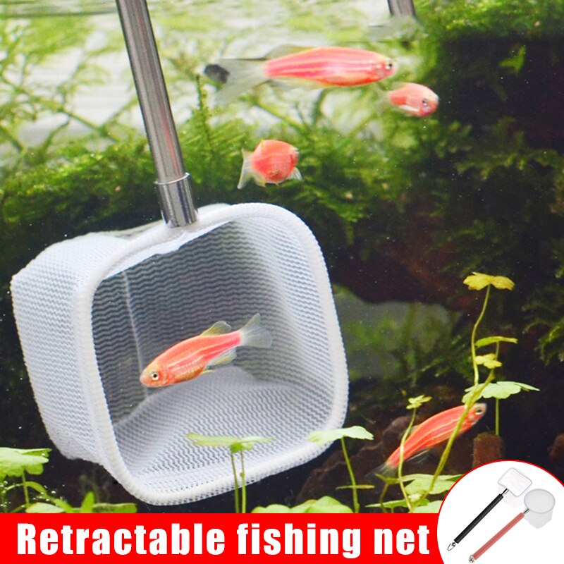 Mini red de camarón para acuario, malla fina telescópica, pequeña red de pesca con mango largo de acero inoxidable, M56