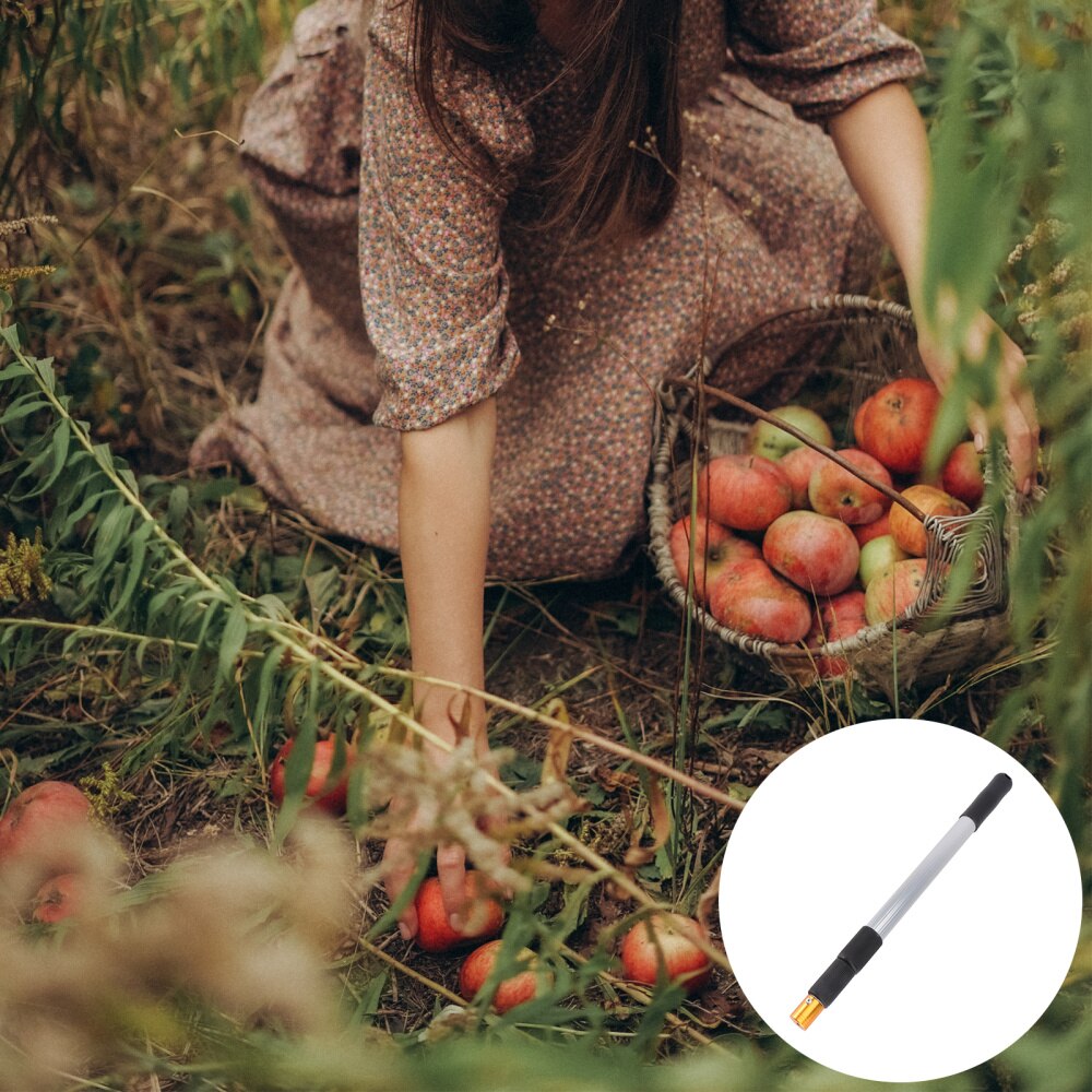 1Pc Fruit Picker with Telescopic Stick Durable Outdoor Walnut Collector Silver: Default Title