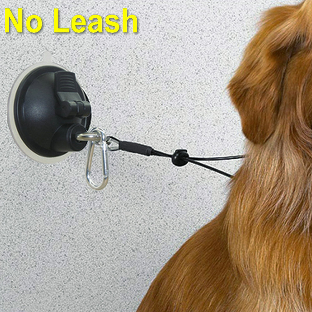 2/Pk Hundesalon Stahl Leine Schwarz dauerhaft Saugnapf Zubehör Hund Katze Badewanne Dusche bat ohne Leine