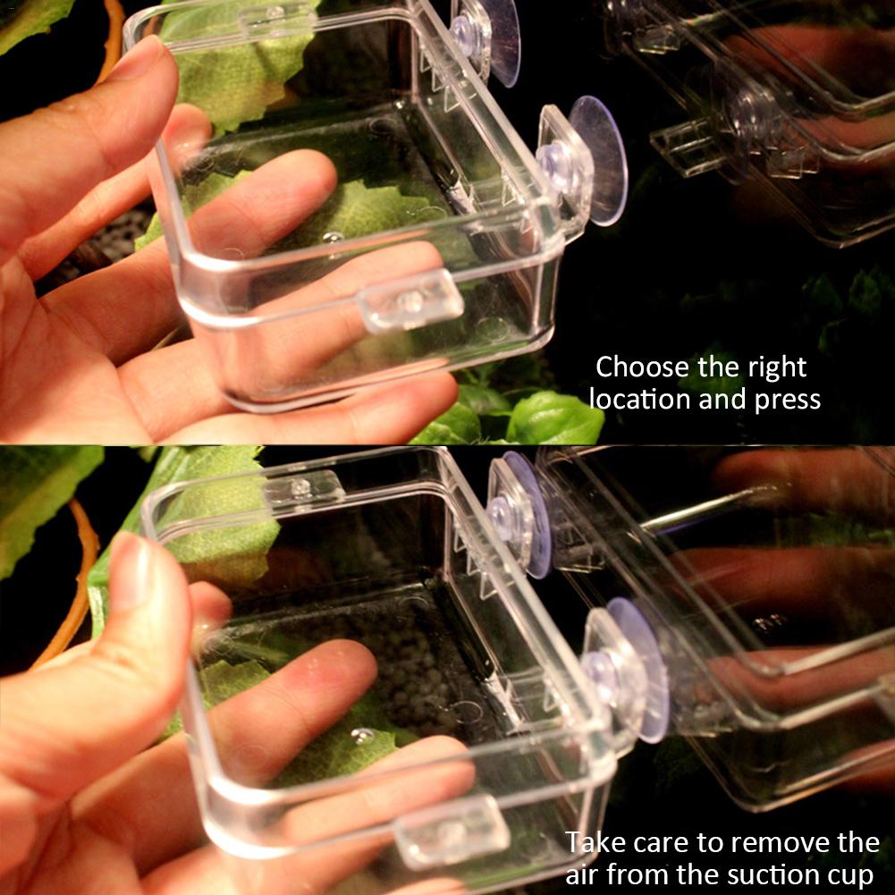 Reptile Acrylic Feeding Box Breeding Container Reptile Spider Lizard Breeding Box Transparent Insect Crawling Box Terrarium