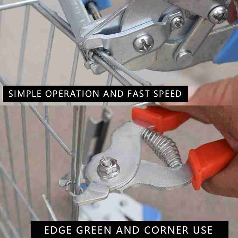 Bevestiging Klem Rvs 600 Stuks Nagels Dier Installatie Konijn Kwartel Vogels Kooien Gekooide Klem Bevestiging Schroef Poult Y7B6