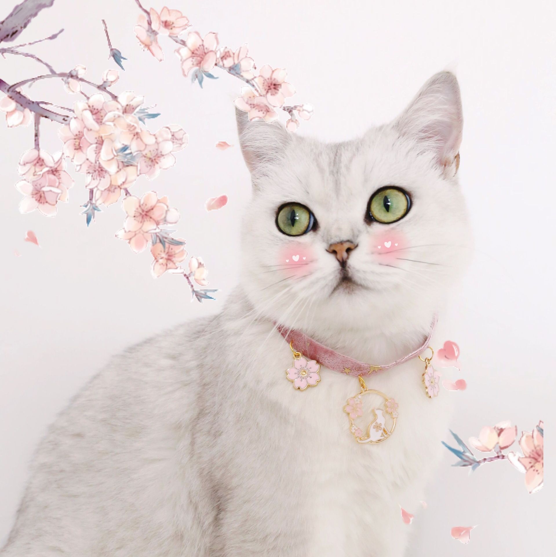 Collier ajustable en velours pour chat, tailles S M L, bronze, étoile, arête de poisson, flocon de neige, élan, chauve-souris, Chic, accessoires pour animaux de compagnie, à la , pour chiot, chaton