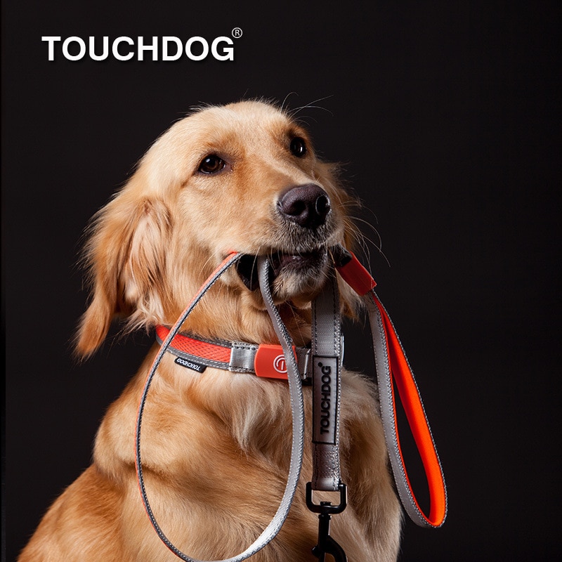 Touchdog koiran valjaat led valot koiran talutushihna heijastavat koiran kaulapannat valjaat koirille lemmikkitarvikkeet pienet keskisuuret koirat