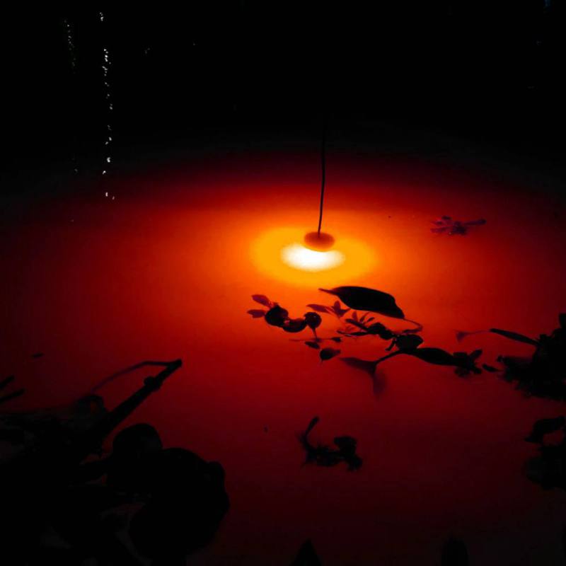 Mini Unterwasser Angeln Licht Fisch Locken Beleuchtung LED Tiefer Tropfen Augen bilden Angeln Tintenfisch Angeln Köder