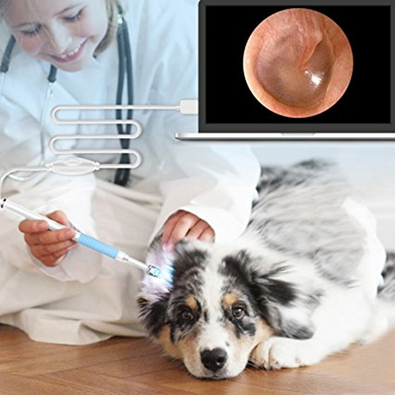 Mini Ear Endoscope Camera 3 in1 Ear Cleaning Android USB Endoscope 5.5mm Visual Ear Spoon Earpick Otoscope Camera