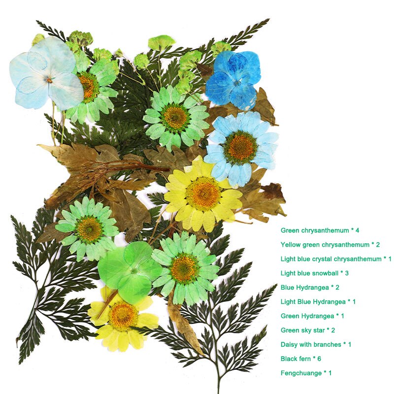 Bra hälsosam pressad blomma blandade torkade blommor gör-det-själv konst blomdekor samling hantverk gör-det-själv: A 6
