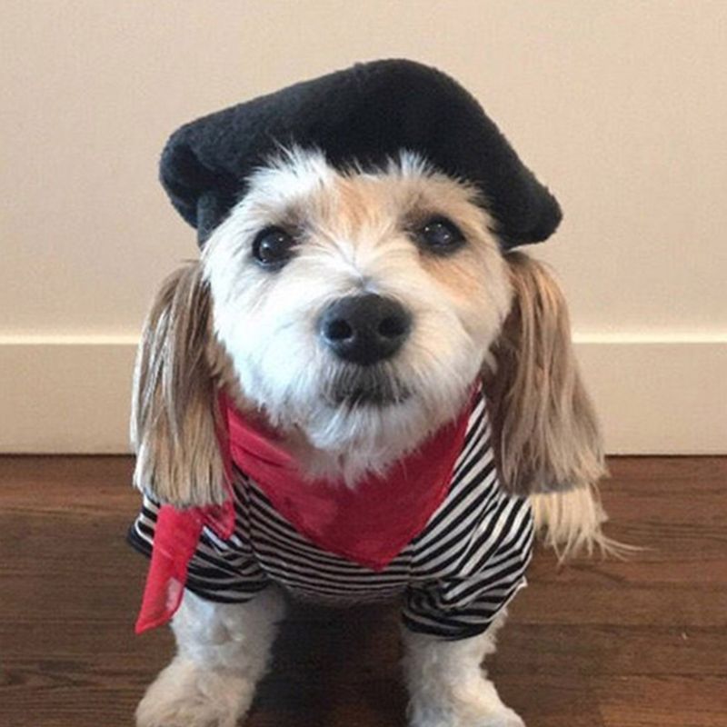 Hundesmykker beret hue sjov dekoration tilbehør ensfarvet tegneserie varm sød hætte matchende hat