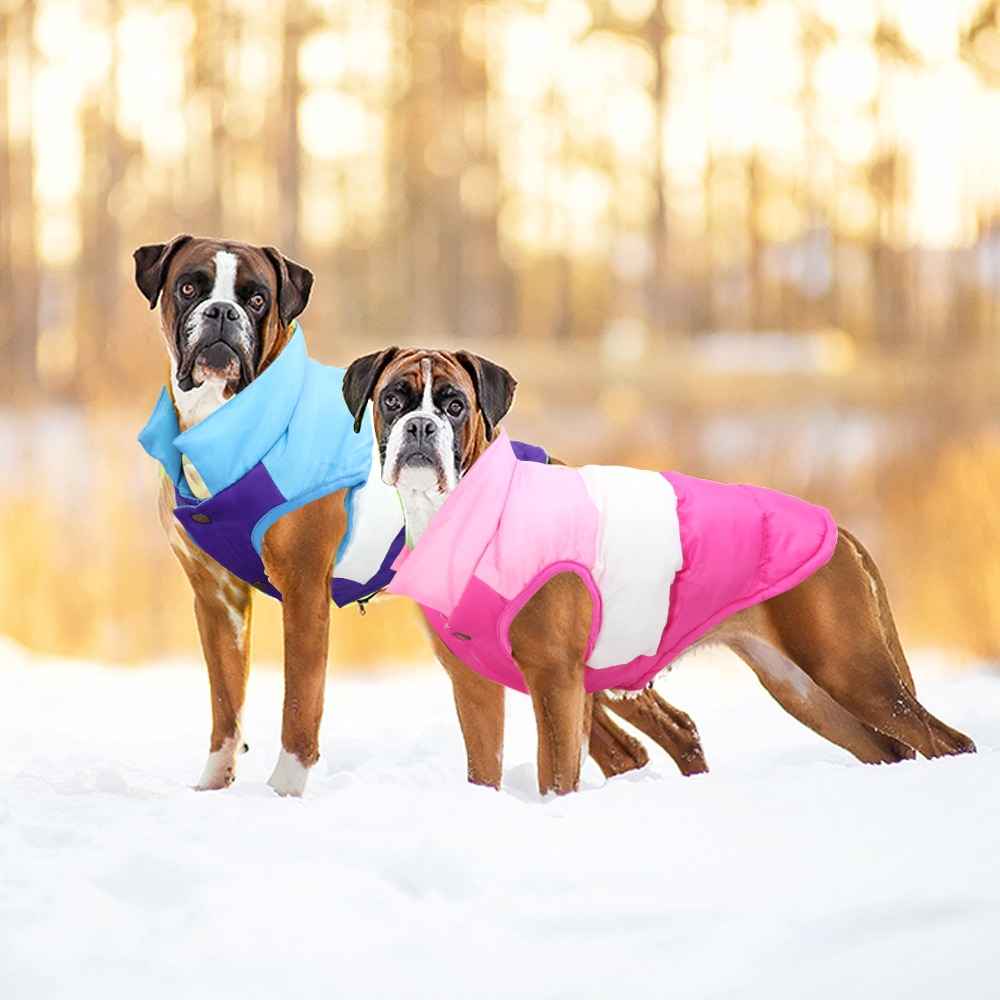 Vinter hundetøj vest små store hunde jakke frakke varmt kæledyr tøj outfit chihuahua mops fransk bulldog tøj veste