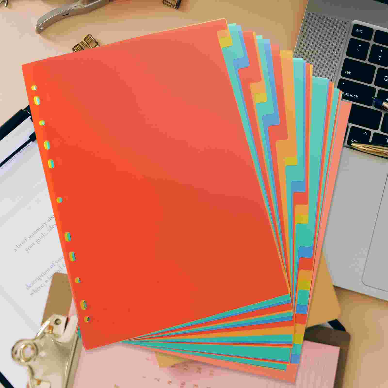 31 Sheets 11 Holes Dividers Folders File Page Separator Classification Tab Binder with Tabs Paper Blank Travel: Other