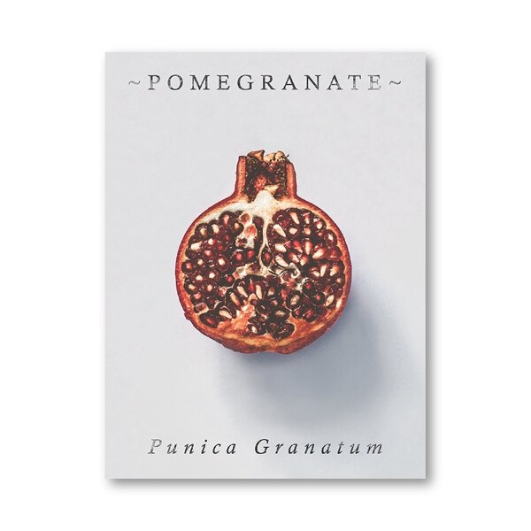 Farmhouse Kitchen Wall Art Posters and Prints Fig Pomegranate Garlic Mushroom Painting Picture Kitchen Gallery Wall Decor: Gold / 21x30cm No Frame