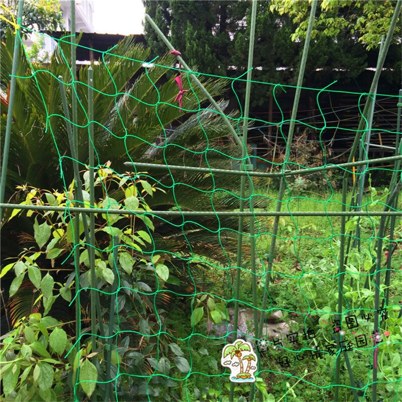 Havegrøn nylon trellis netnetvækst plantevækst klatreramme hegn plantegarn havearbejde klatring vinstok fortykket net