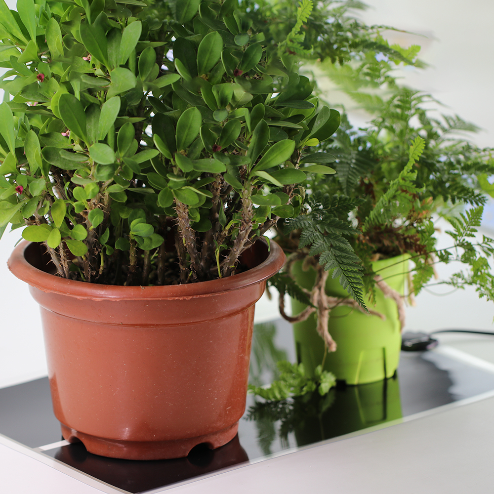 5W-35W Seeds Seedlings Plant Heating Warm Mat Indoor Garden Reptiles Heat Pad Adjustable Temperature Controller Waterproof Cover