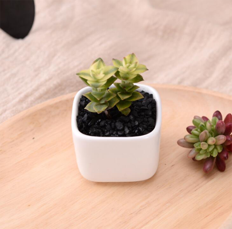 Kurze Weiße Keramik Blumentopf Kleine Platz Grüne ... – Vicedeal