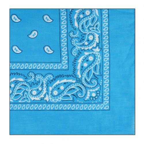 Paisley bandeau Bandana écharpe bandeau serre-tête bandeau femmes cheveux accessoires bandeau serre-tête bandeau coiffure: Bleu ciel