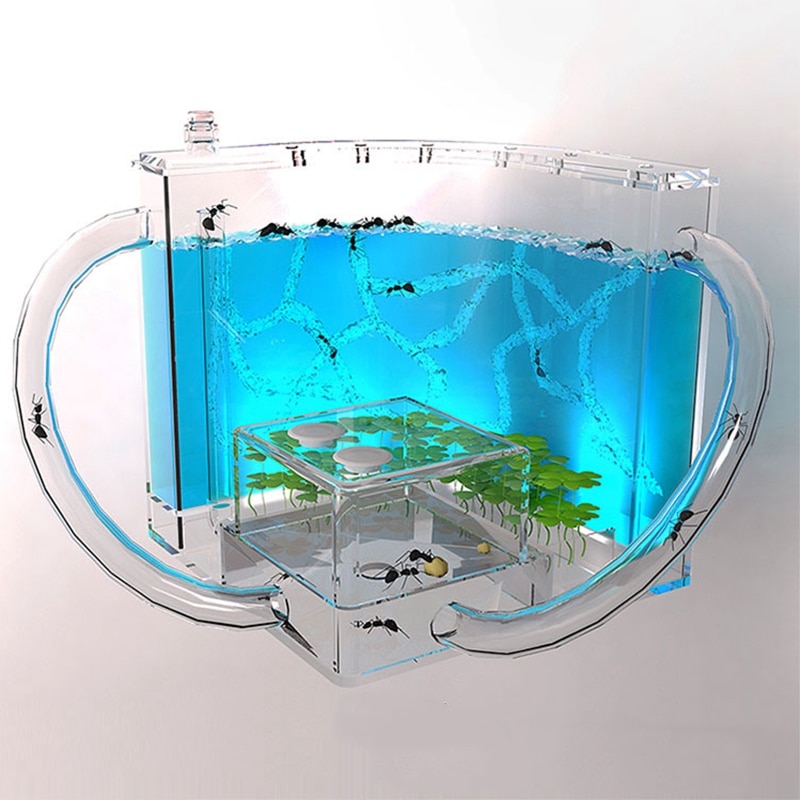 DIY Moisture with Feeding Area Ant Nest Ant Farm Ant Nests Villa Pet for House Ants Ant Workshop Ant Nest Science Educational To
