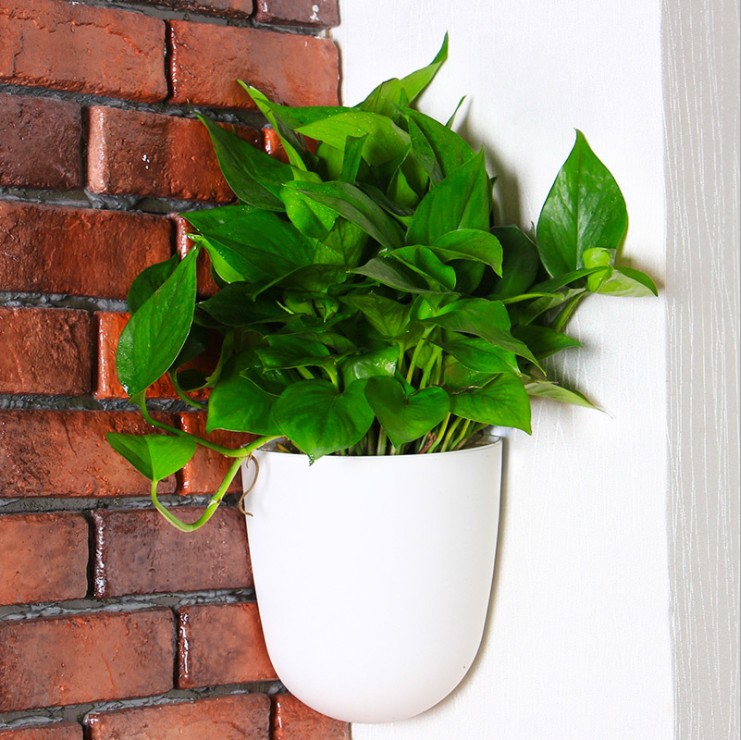 large size Self Watering Plant Flower Pot Wall Hanging Wall corner Plastic Planter Basket Garden Supply Home Garden with Hooks: white