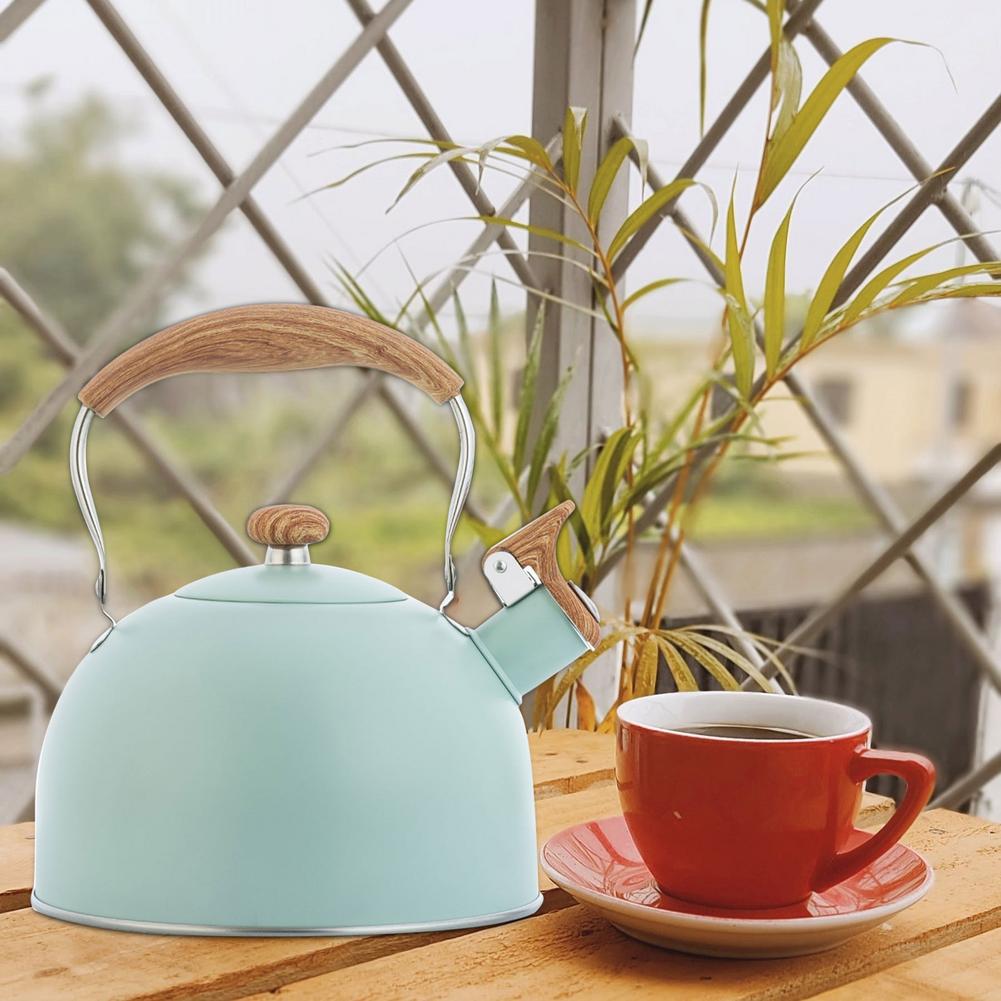 Bouilloire à thé en acier inoxydable 2,5 l, théière à poignée en bois, chaudière à eau classique pour toutes les cuisinières, vert menthe, Beige