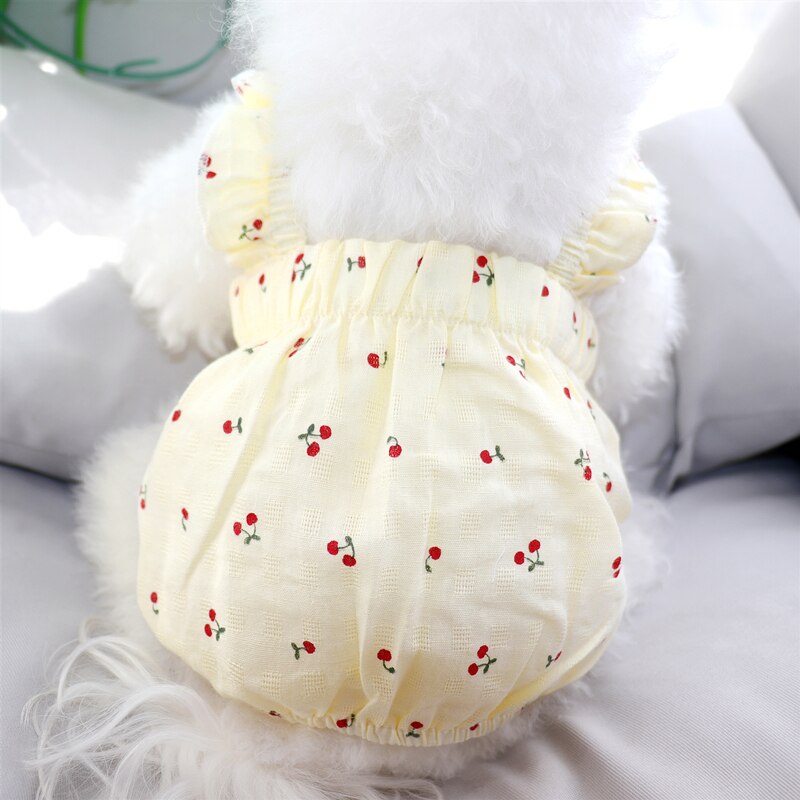 Teddy Rok Lente Zomer Puppy Dog Kleding Voor Pet Puppy Small Medium Honden Jurk Bichon Pommeren Yorkshire Katten Jurken: WHITE / Xl