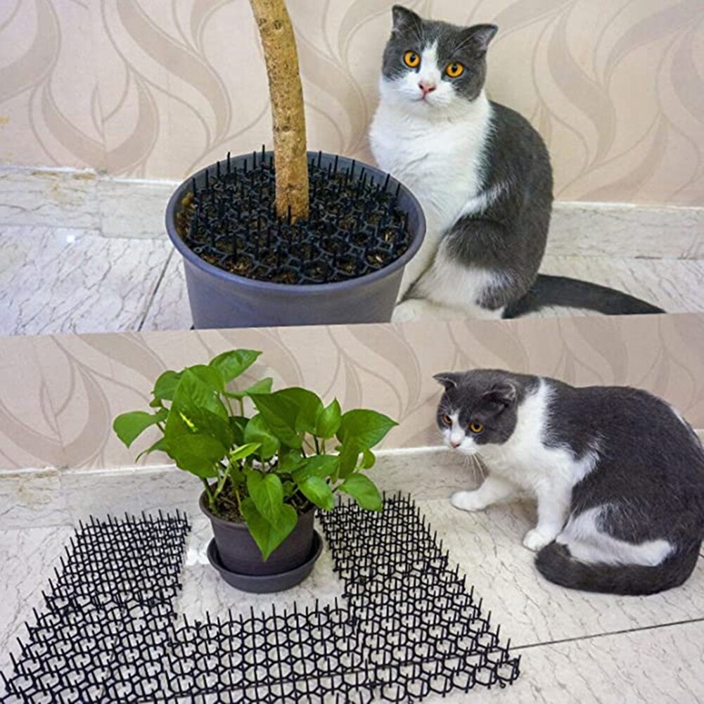 Katze skat matt Innen skat matt Mit Spikes draussen Garten Und Zaun Katzen Stopper Netzwerk Für Katzen Hund Graben abschreckung