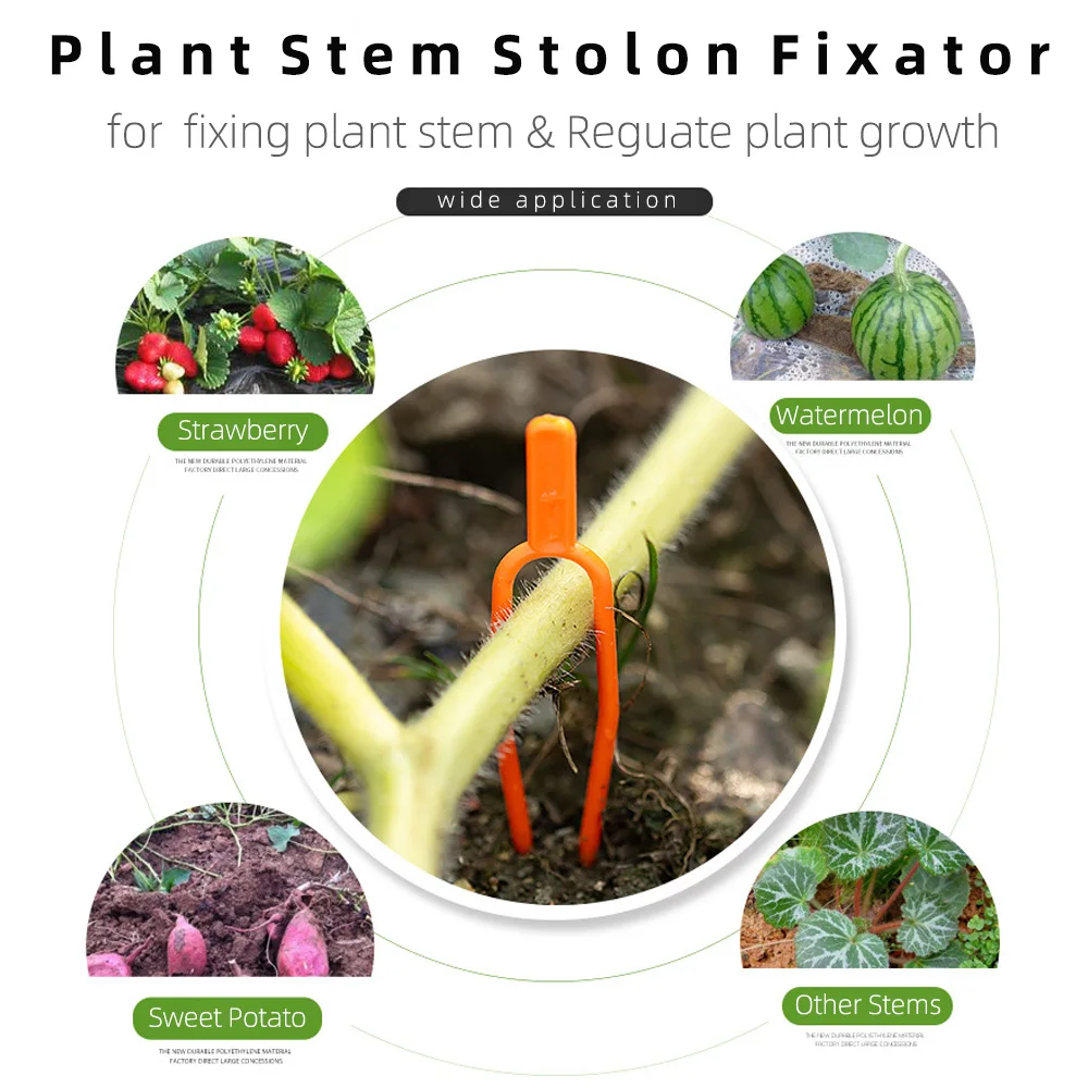 100 STKS plantensteel fixator, tuin aardbei plantvork, watermeloen bevestigingsarmatuur, klem, plantenbeugel