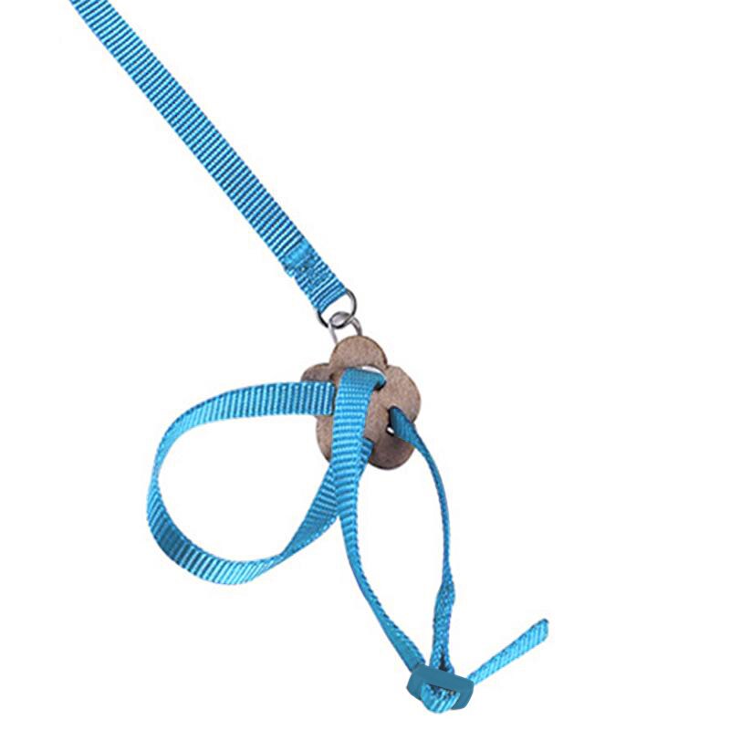 Pet Parrot Traction Strap Pet Anti-bite Training Rope Outdoor Rope Pet Leash Adjustable Bird Harness For Hamster, Lizard: Blue