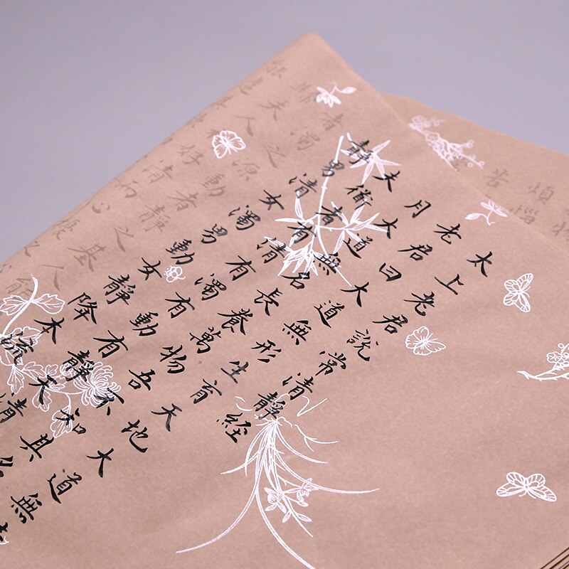 Small Regular Script Copybooks Wenzhengming Calligraphy Xuan Paper Copybook Beginner Chinese Lao Tzu Qingjingjing Copybook