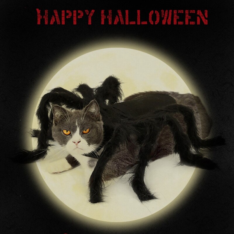 Huisdier Spider Kostuum, Harige Spin Cosplay Dress Up Kostuum Halloween Kleding Voor Honden Puppy Katten