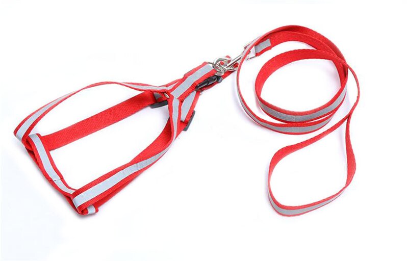 Aftagelig justerbar plastik spænde metalbelagt 'p' lås reflekterer lys sikkerhedssnor hundehalsbånd rygliner 3 in 1 sæt: Rød
