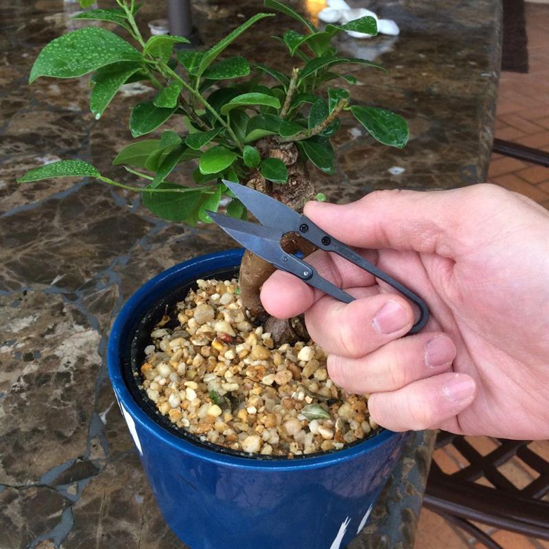 Bonsai Pruning Shears Mini Bonsai Scissors Small Garden Cutters for Buds and Leaves