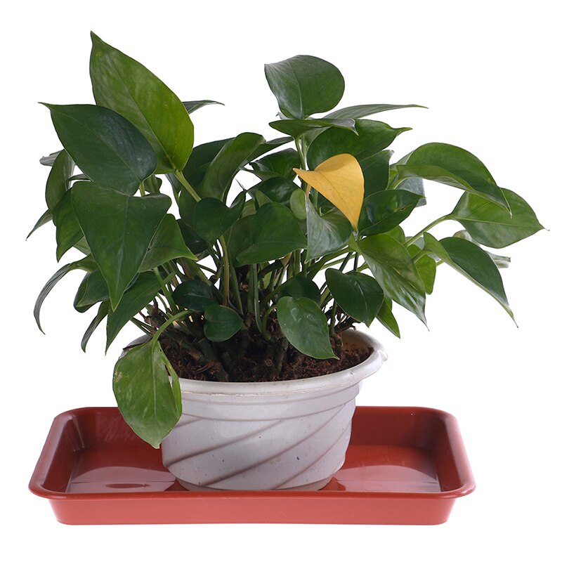 1pc Sand Balcony Flower Pots Tray For Plastic Rectangle Flower Pots Tray Suitable Plant Saucer