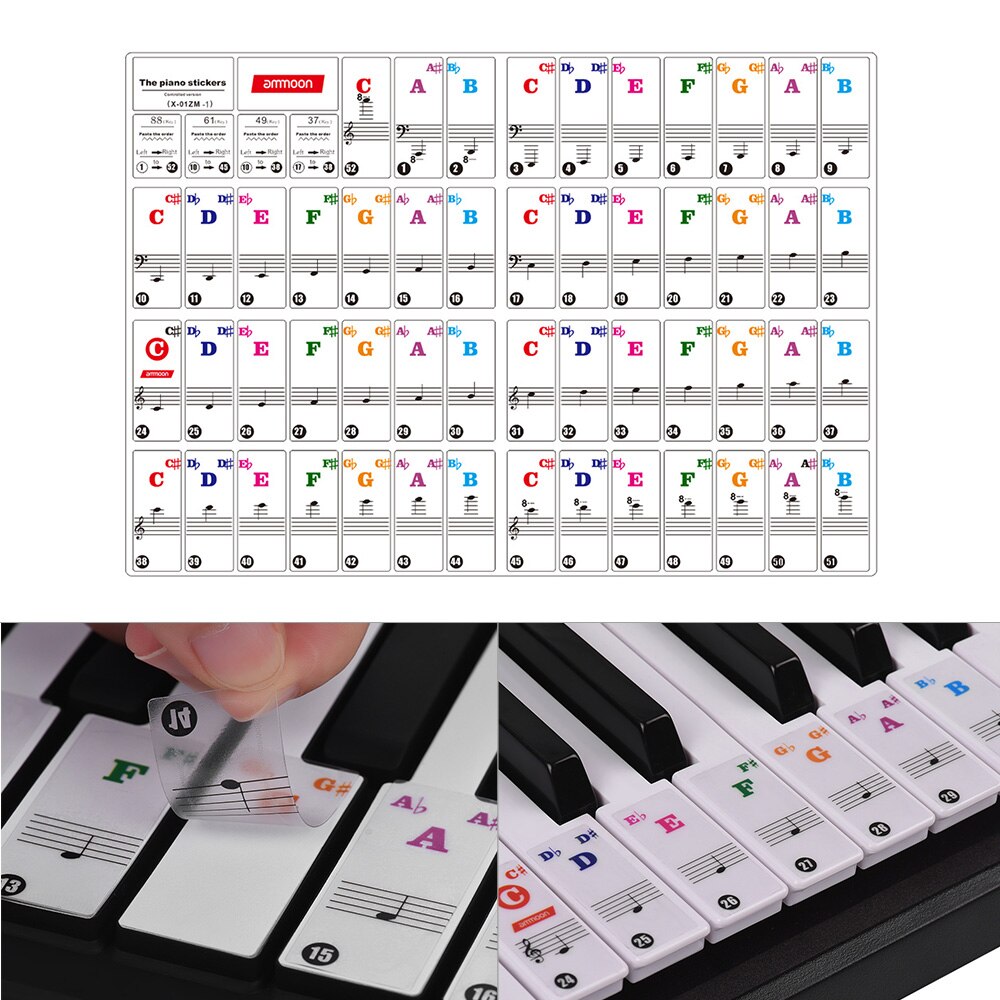 Ammoon-pegatinas de Piano para niños, pegatina de Teclado extraíble para teclados de 37/ 49/ 61/ 88 teclas, transparente, para Aprendizaje de práctica de Piano