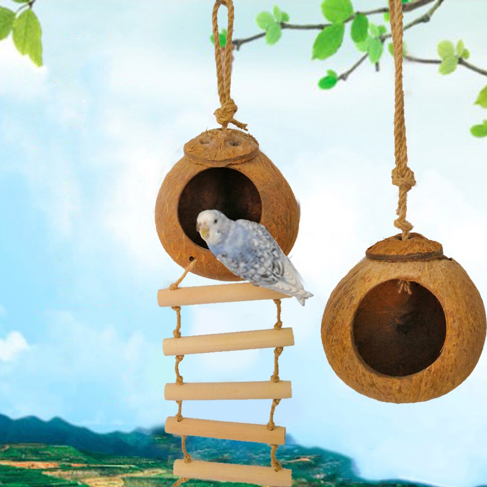 Papegaai Leuke Natuurlijke Kokosnoot Vogels Nest Grappige Papegaai Vogels Huis Met Ladder Kokosnoot Schelpen Huisdier Nest