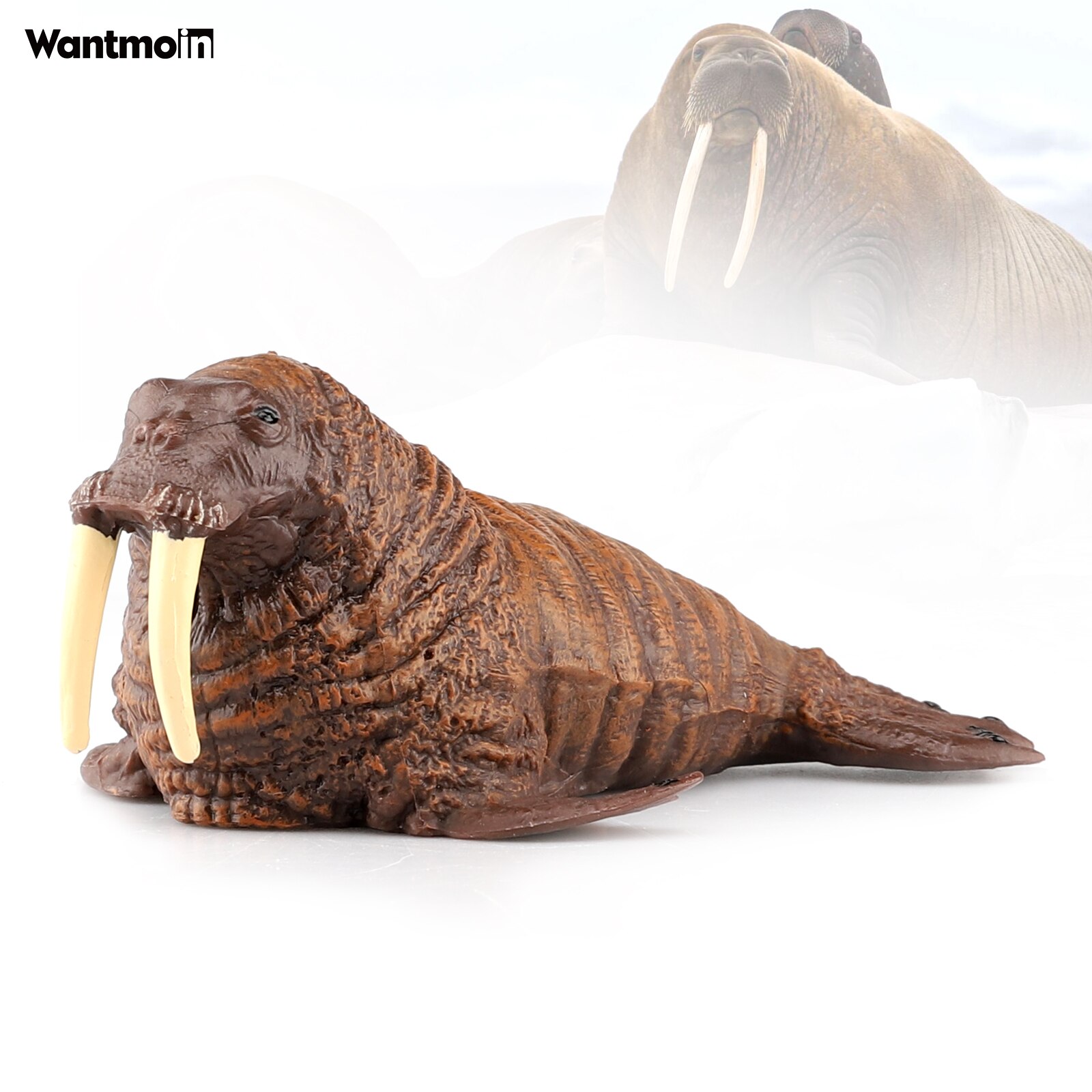 Wantmoin Polar Ocean Animals Simulation Walrus Manatee Sea Lion Seal Action Figures Sealife Marine Model Collection Static Toy